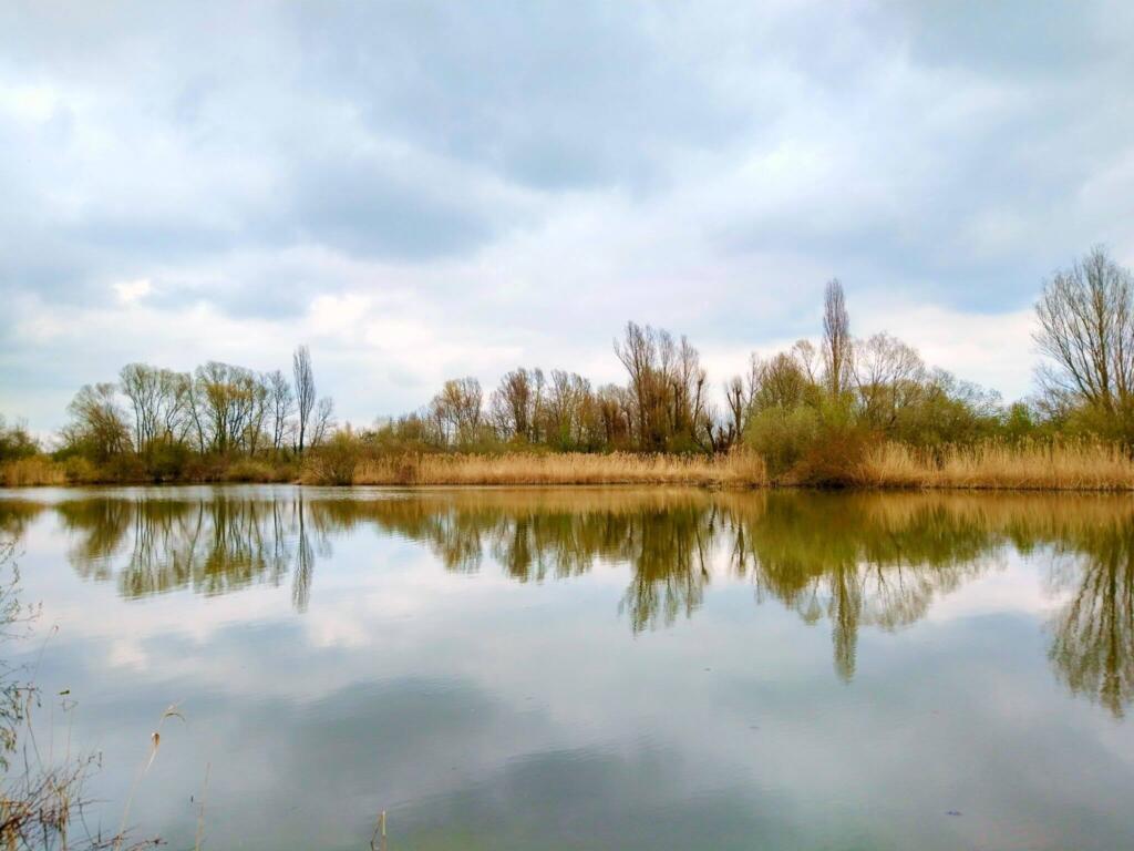 Vogelinsel Altmühlsee