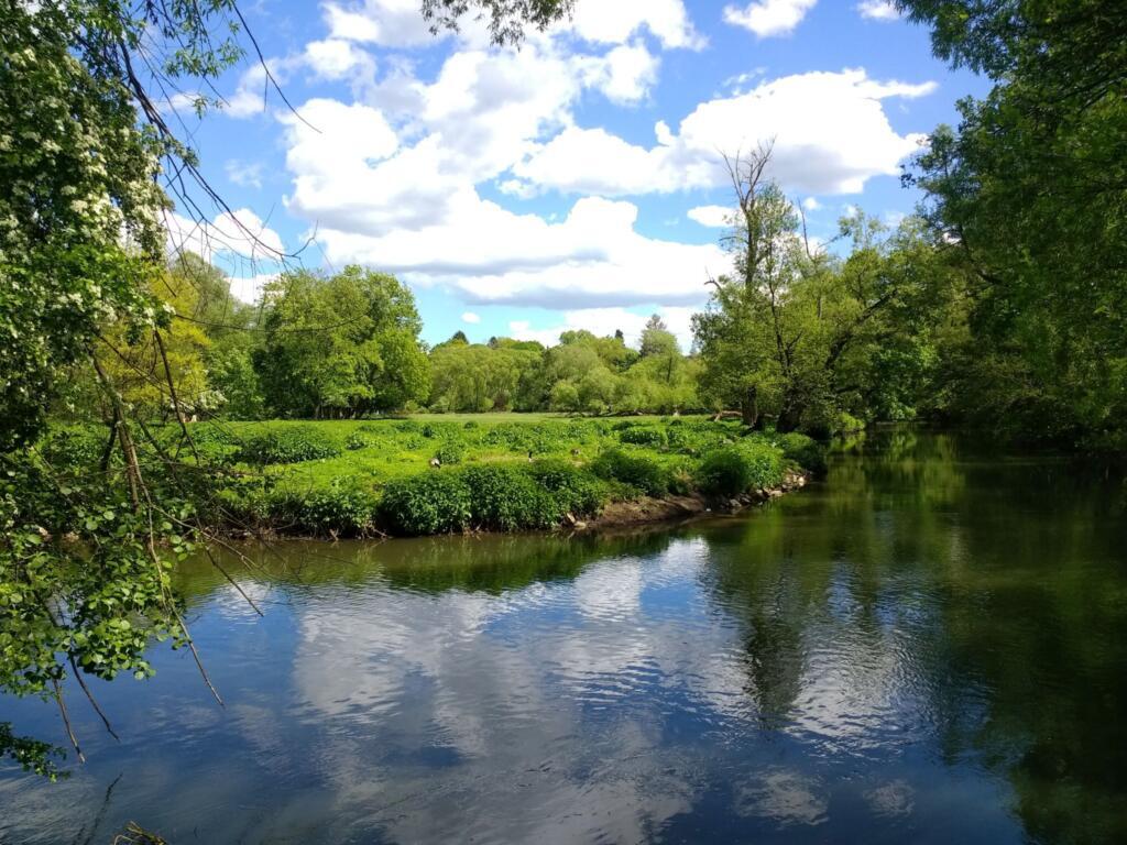 Wöhrder See und Pegnitz