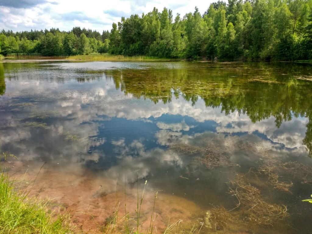 Birkensee und Kloster Gnadenberg