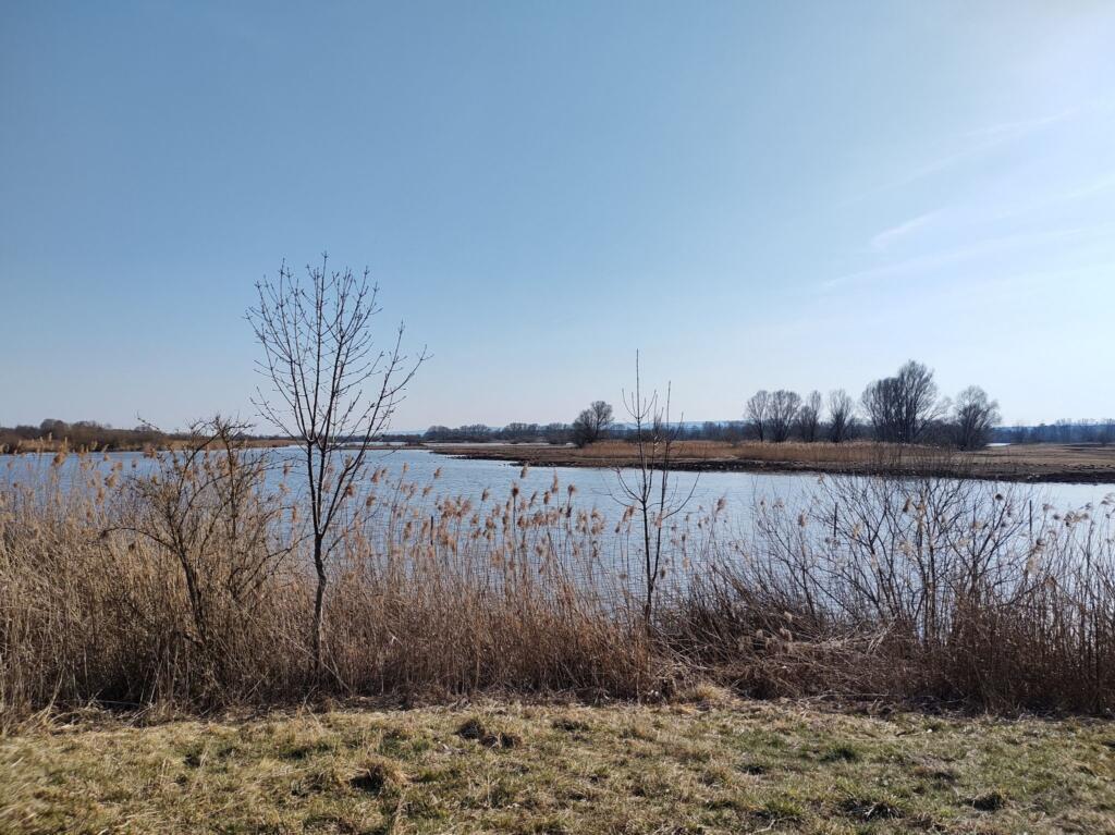 Vogelinsel Altmühlsee