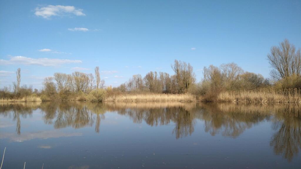 Vogelinsel im Altmühlsee