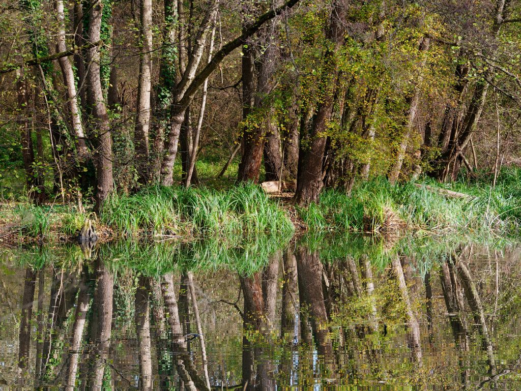 Pegnitz im Nürnberger Osten