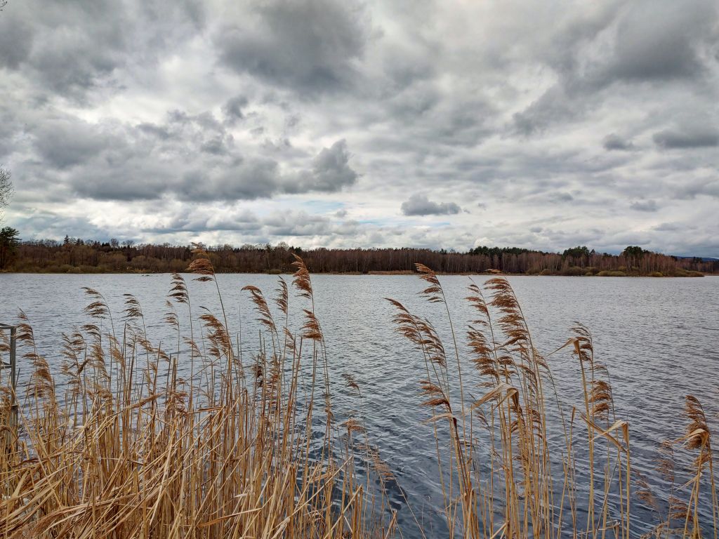 Erkundungstour zum Großen Rußweiher